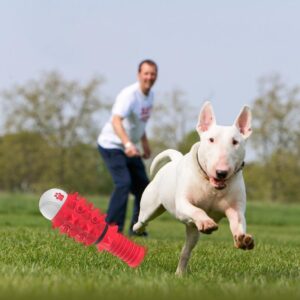 Engaging Chew and Play Toy for Bigger Dogs