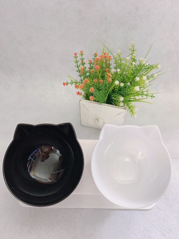 Elevated Double Cat Feeder for Cervical Health - Image 9