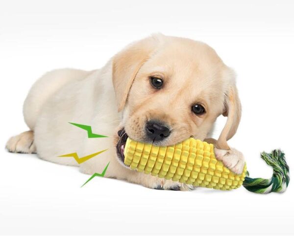 PROKEl Rope and Chew Toy for Small to Large Dogs - Image 6