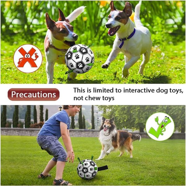 Training Soccer Ball for Large Dogs - Image 5