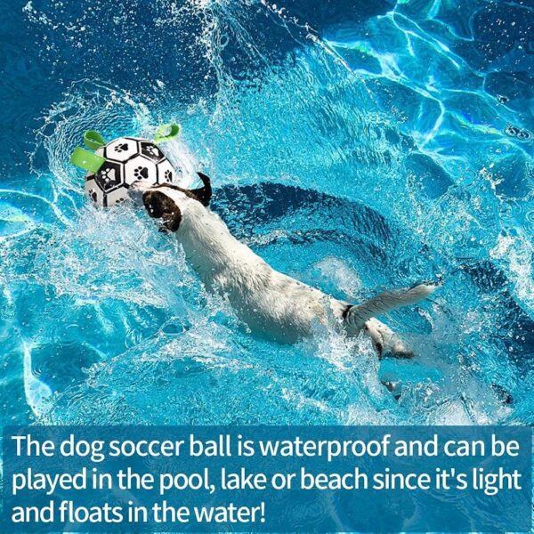 Training Soccer Ball for Large Dogs - Image 9