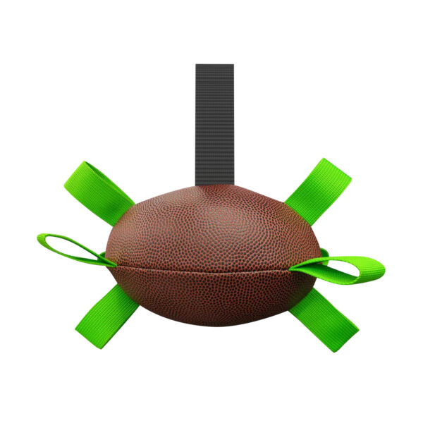 Training Soccer Ball for Large Dogs - Image 2
