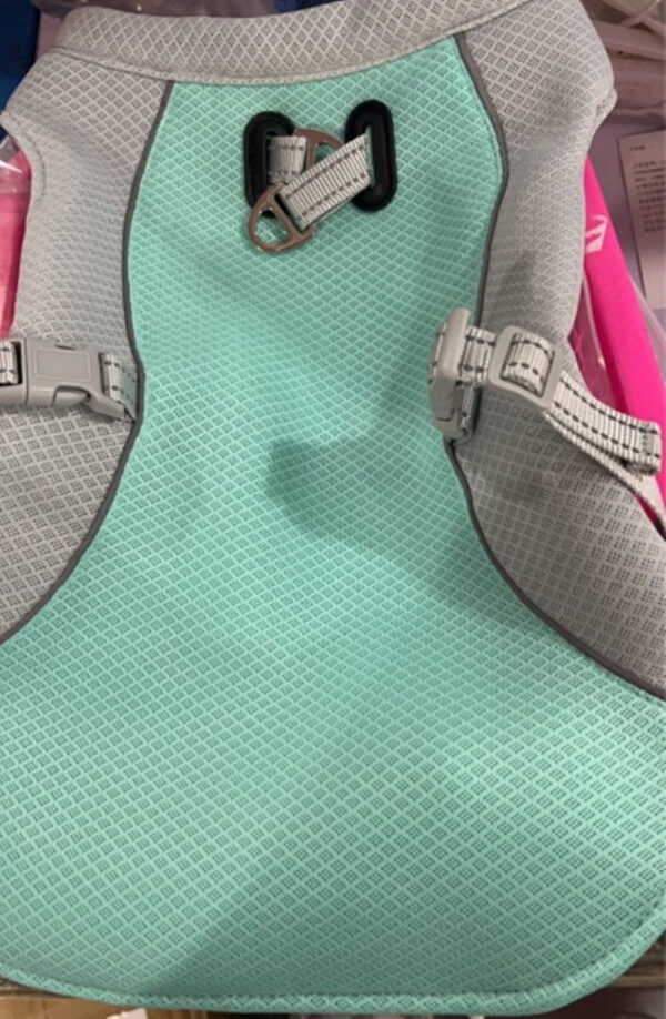 Heat Resistant Dog Vest for Outdoor Walks - Image 2