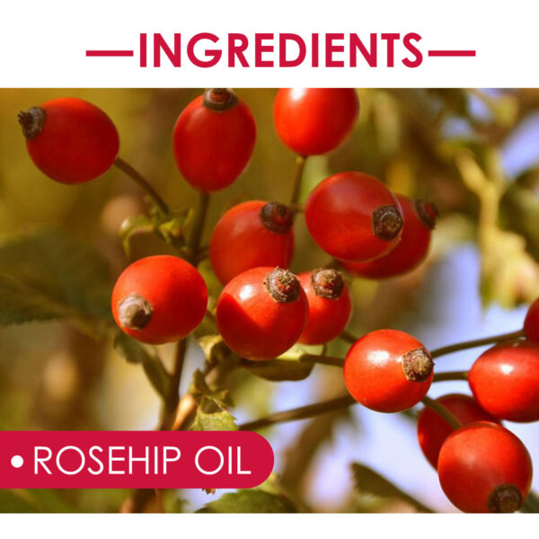 EELHOE Rosehip Hydrating Oil for Skin and Hair - Image 6