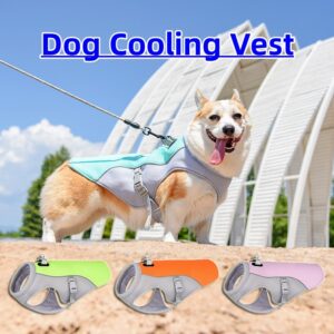 Heat Resistant Dog Vest for Outdoor Walks