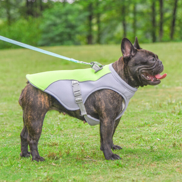 Heat Resistant Dog Vest for Outdoor Walks - Image 4