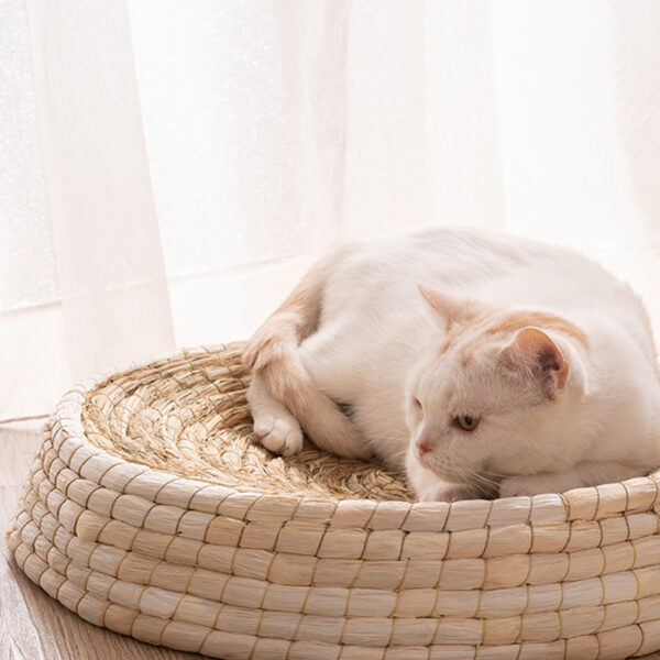 Teng Wok Felt House Cat Bed - Image 4