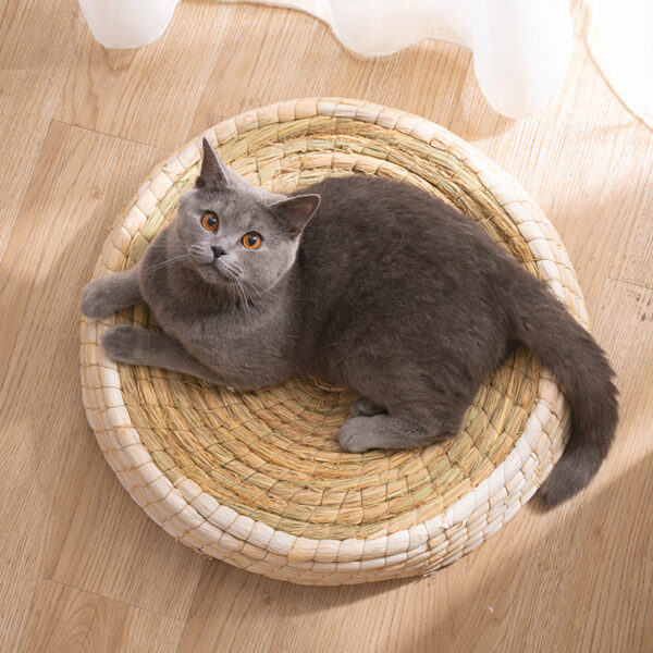 Teng Wok Felt House Cat Bed - Image 6