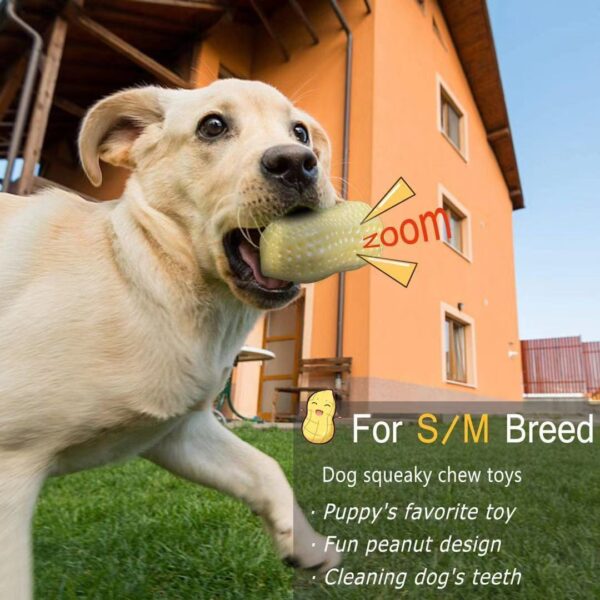 Funny Pet Dog Squeaky Toys For Small Middle Dogs Bite Resistant Puppy Cat Dogs Toys Pets Rubber Peanut Clean Tooth Chew Toy - Image 5