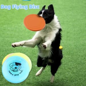 Chew-Resistant Flying Saucer Toy for Pets